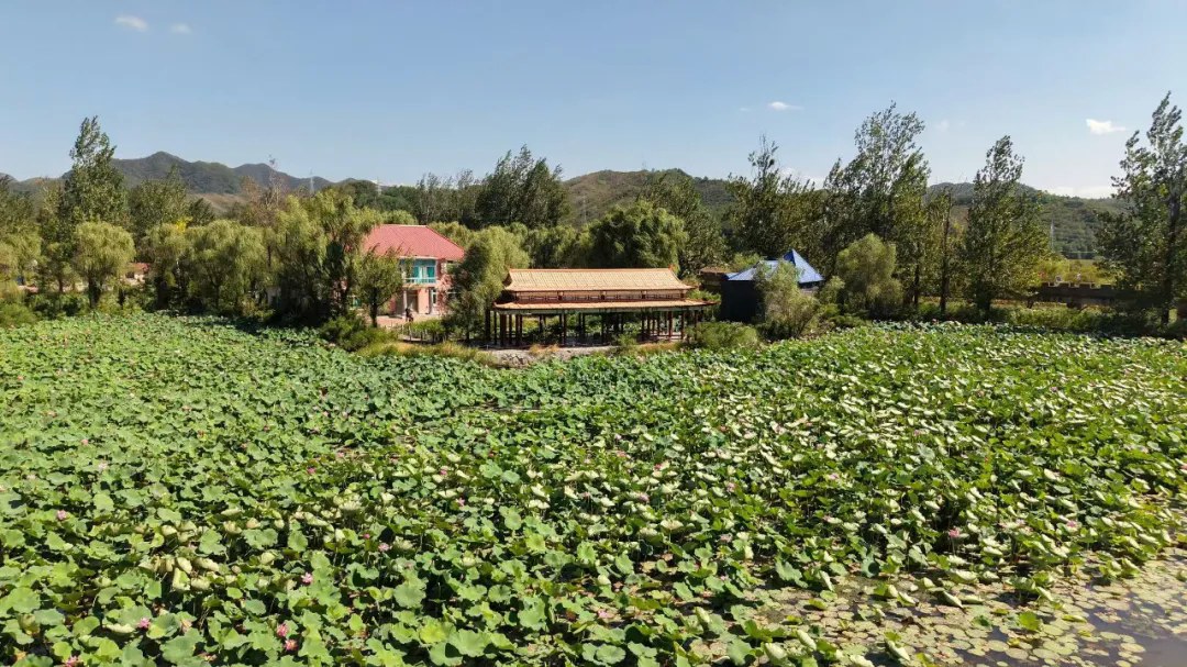 在玉泉山庄邂逅秋日山水田园