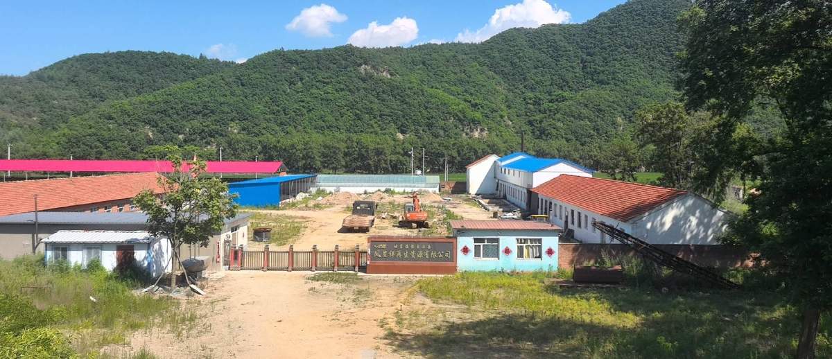 32亩工业用地及4000平厂房出租出售，地址龙潭镇，地理位置优越，依山傍水，周围