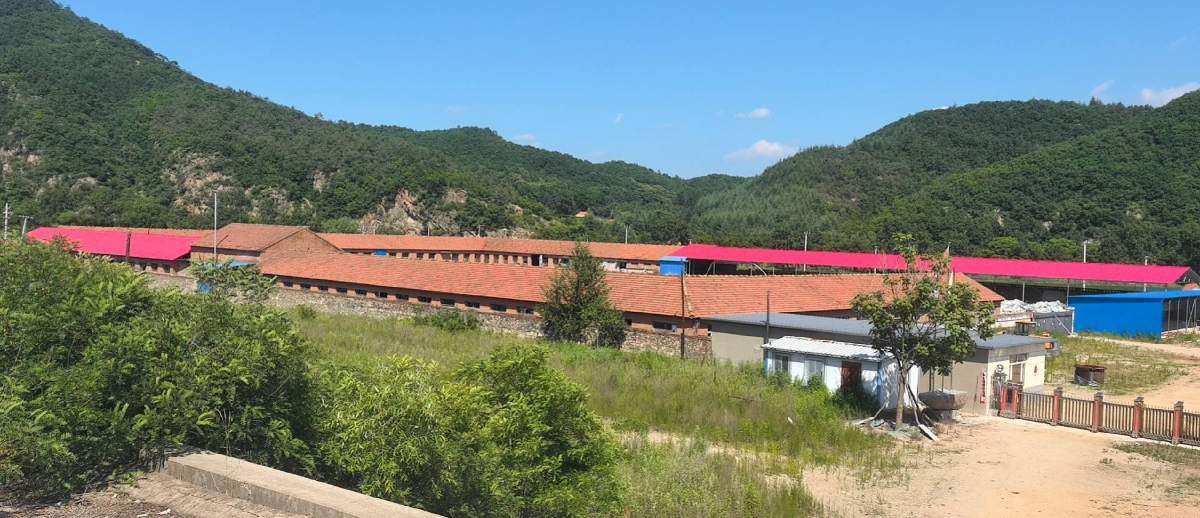 32亩工业用地及4000平厂房出租出售，依山傍水，地理位置非常好，周围没有人家，