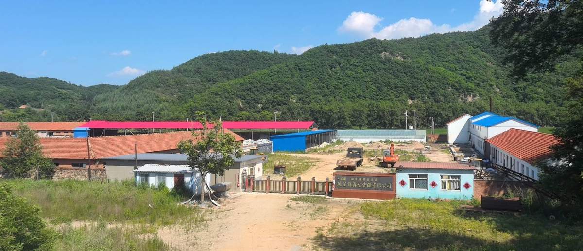 32亩工业用地及4000平厂房出租出售，依山傍水，地理位置非常好，周围没有人家，